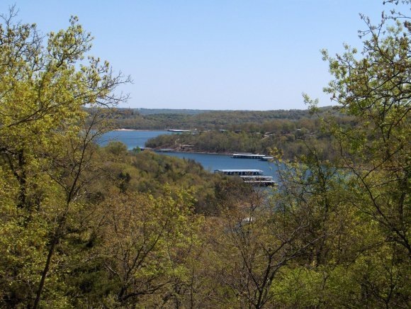 115 Whippoorwill Hollow, Kimberling City, MO 65686 - photo 1