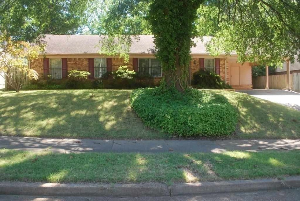 3638 Tulip Tree Cove, Memphis, TN 38115 - photo 1