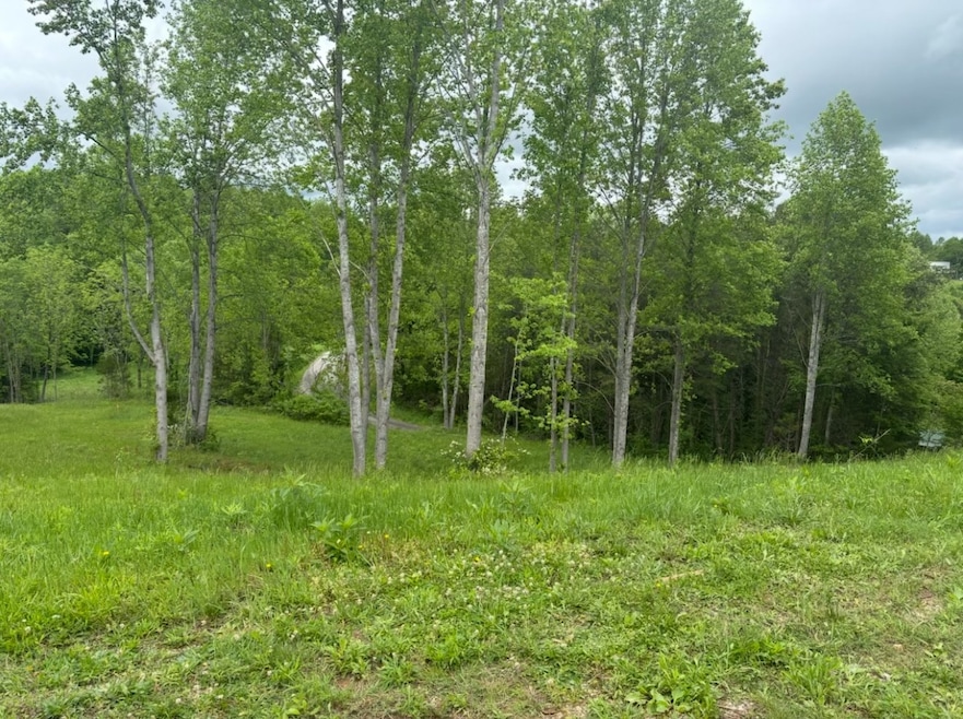 0 Union Hill Moss Rd, Moss, TN 38575 - photo 1