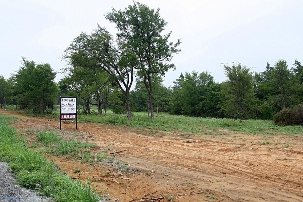 TBD 15 County Road 2184, Gainesville, TX 76240 - photo 1