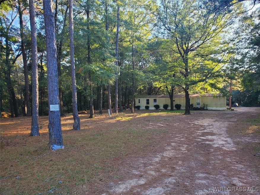 TBD County Road 36, Hartford, AL 36344 - photo 1