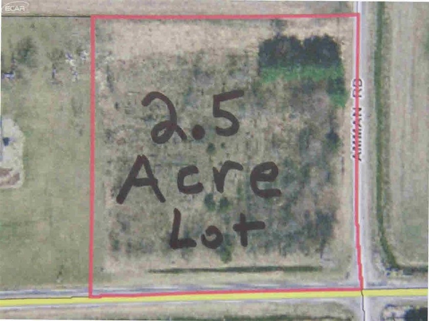 8070 Ditch Rd, Chesaning, MI 48616 - photo 1