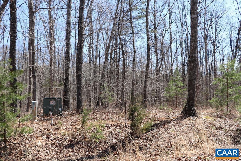 10 Hope Ln, Orange, VA 22960 - photo 1