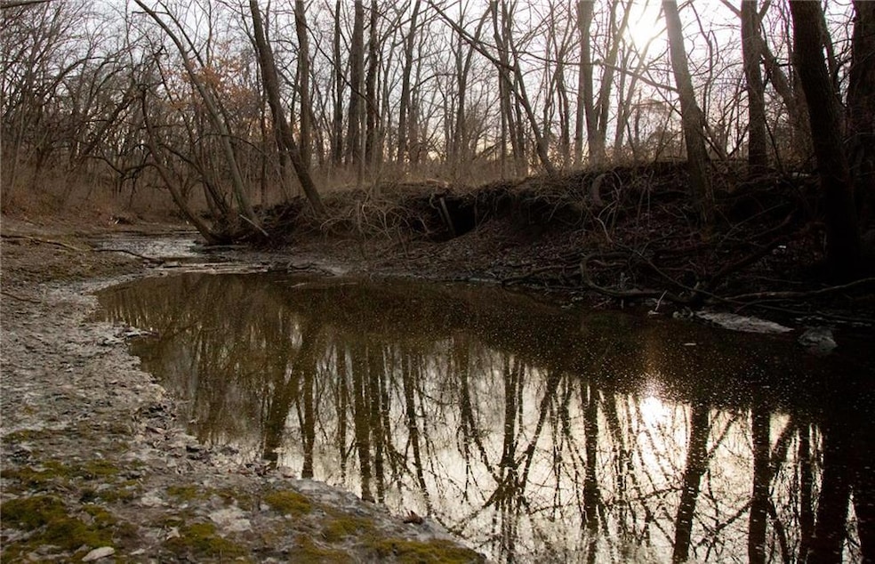 705 NE Noeleen Ln, Lee's Summit, MO 64086 - photo 1