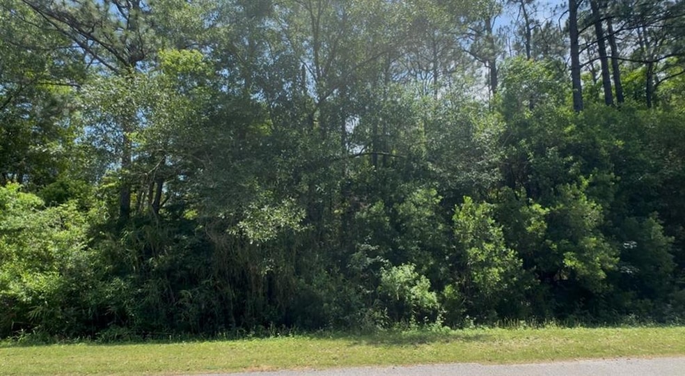 View of wooded area