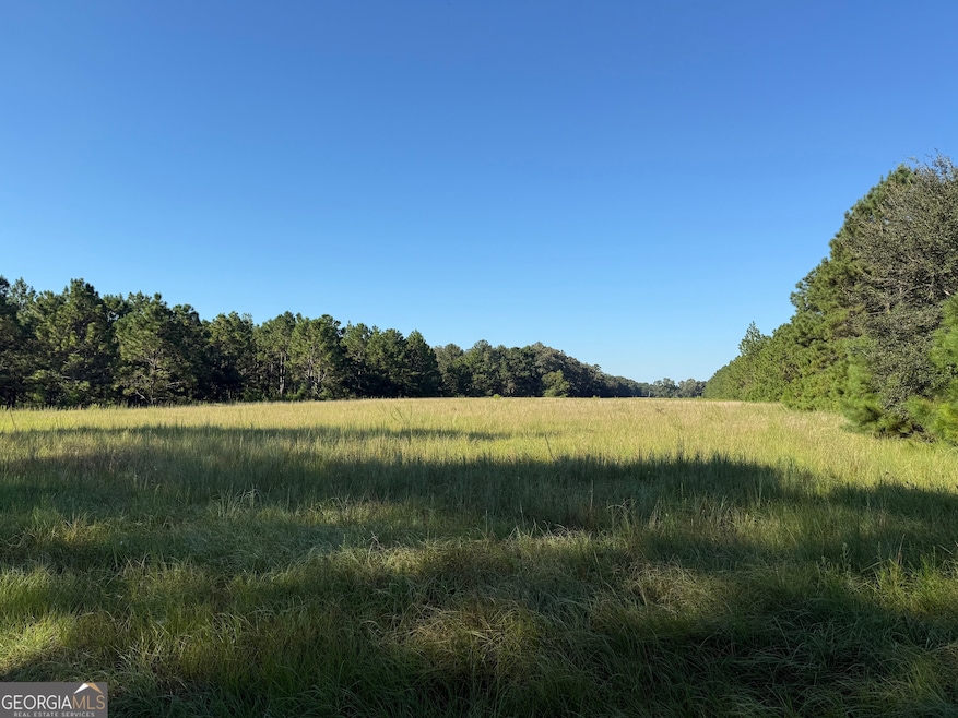 0 Sunbury Rd unit TRACT 4 10599355, Daisy, GA 30417 - photo 1