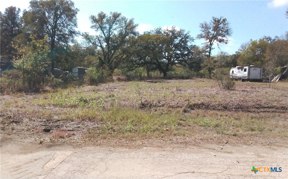 Lot 5 SW Tbd Blk 1st Ave, Waelder, TX 78959 - photo 1