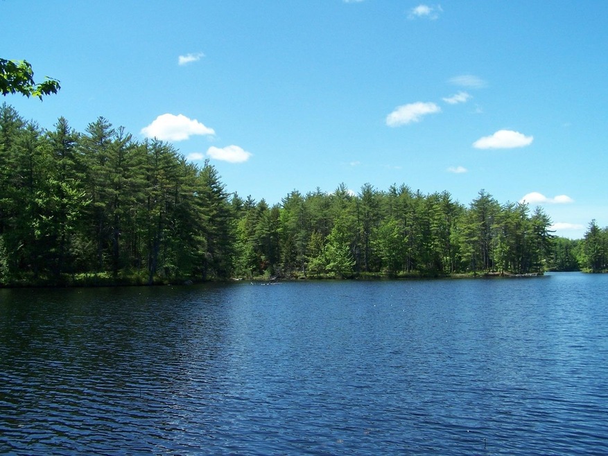 77 Scott Pond Rd, Fitzwilliam, NH 03447 - photo 1