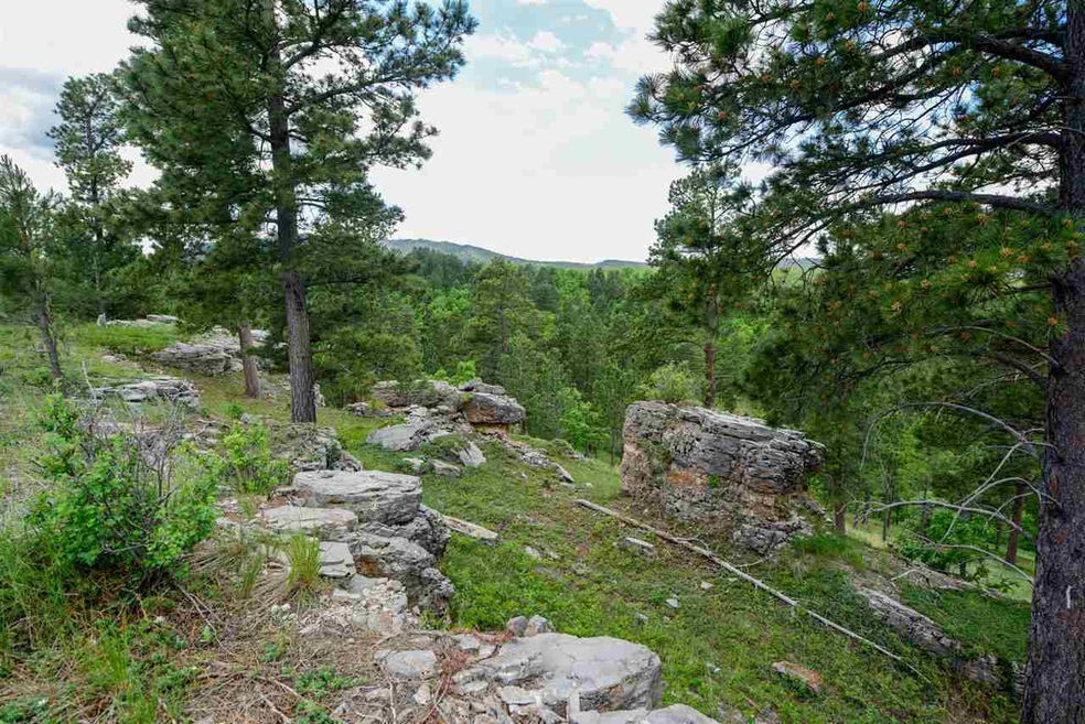 Lot 14 Blk 2 Gobbler Rd, North Lawrence, SD 57783 - photo 1