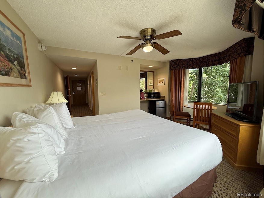 6 Emmons Rd unit 379/381, Crested Butte, CO 81225 - photo 1