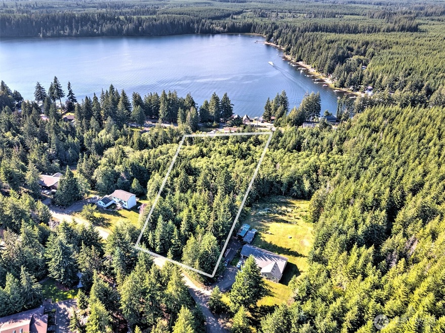 221 W Little Nahwatzel Dr, Shelton, WA 98584 - photo 1