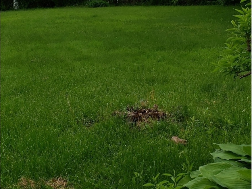 400 Conklin Ave, Binghamton, NY 13903 - photo 1