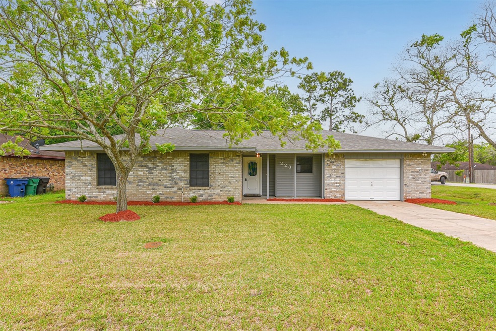 223 Avenue H, Brazoria, TX 77422 - photo 1
