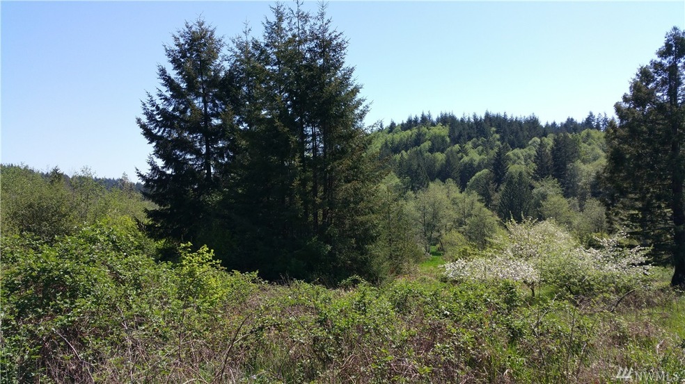 0 Holcomb Rd unit 928424, Napavine, WA 98532 - photo 1