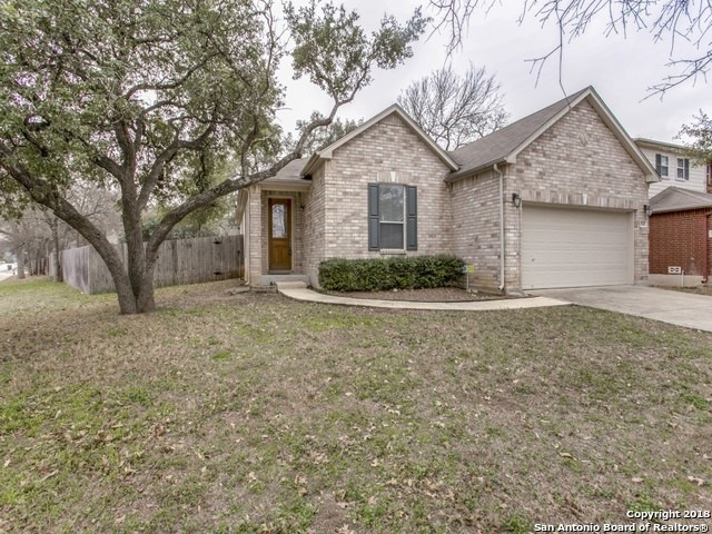 7802 Dunhill Coach, San Antonio, TX 78255 - photo 1