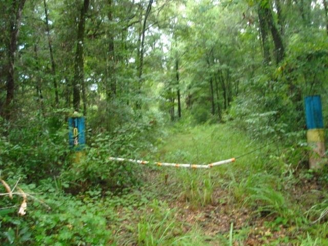 104 Wakulla Beach Rd unit x, Crawfordville, FL 32327 - photo 1