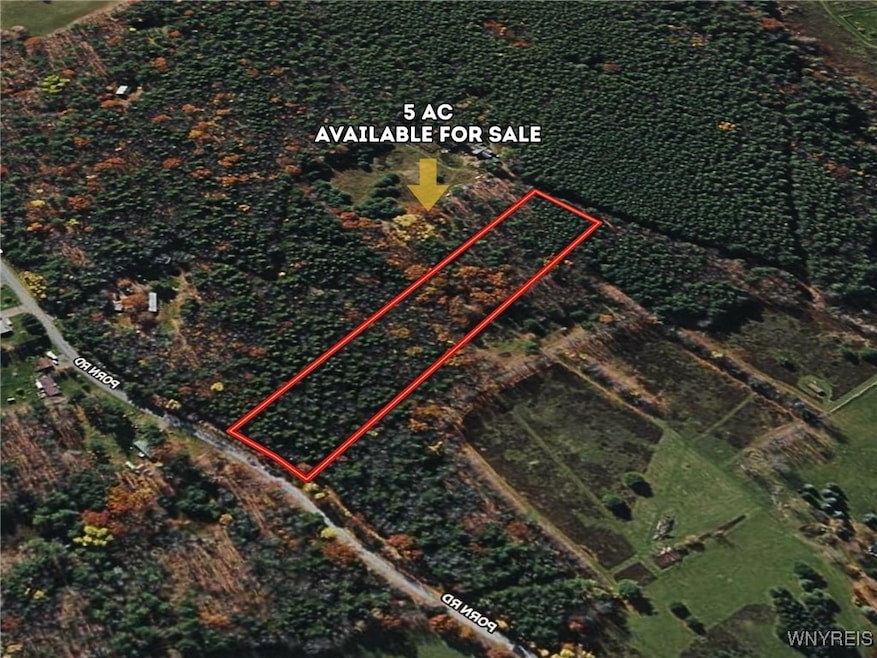 0 Bruce Porn Rd, Gilboa, NY 12076 - photo 1