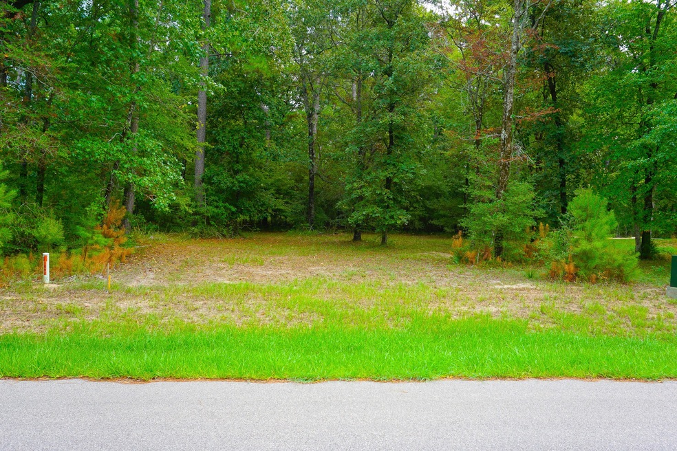 75 N Forest Dr, Huntsville, TX 77340 - photo 1