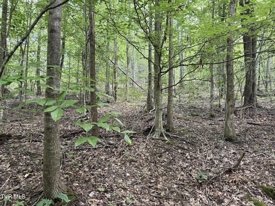 6acres Trentham Rd, Newport, TN 37821 - photo 1