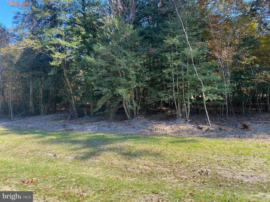 28182 Blueberry Ave, Dagsboro, DE 19939 - photo 1