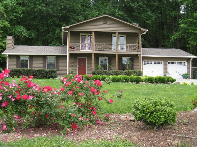 Main View