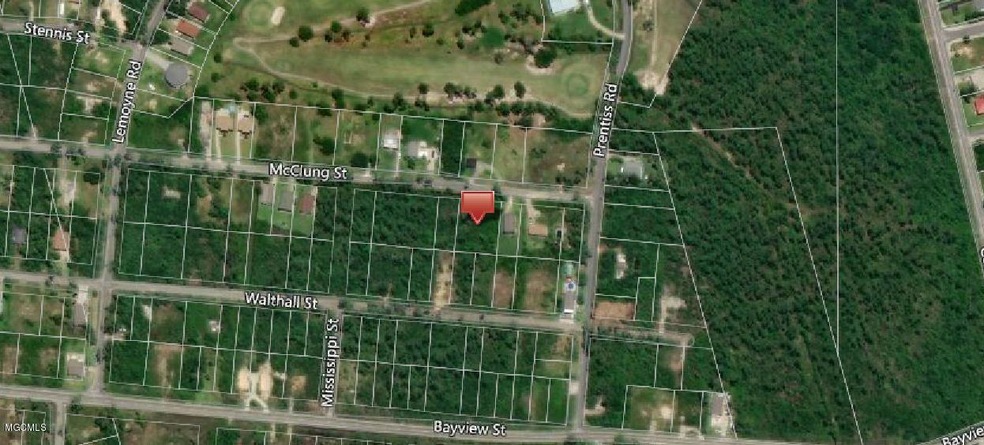 Aerial Overview