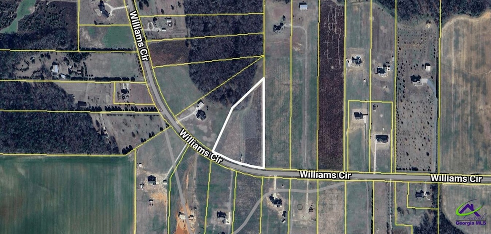 Tract 3 Williams Cir, Elko, GA 31025 - photo 1