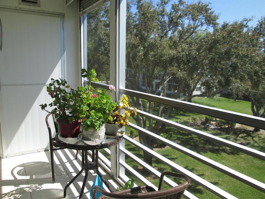Back Patio