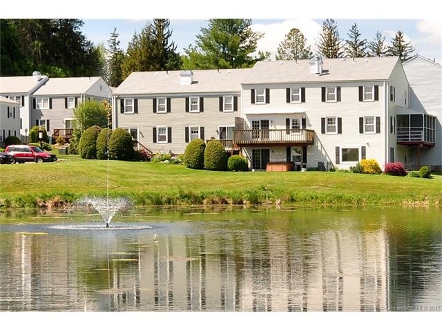 49 Tapping Reeve Village, Litchfield, CT 06759 - photo 1