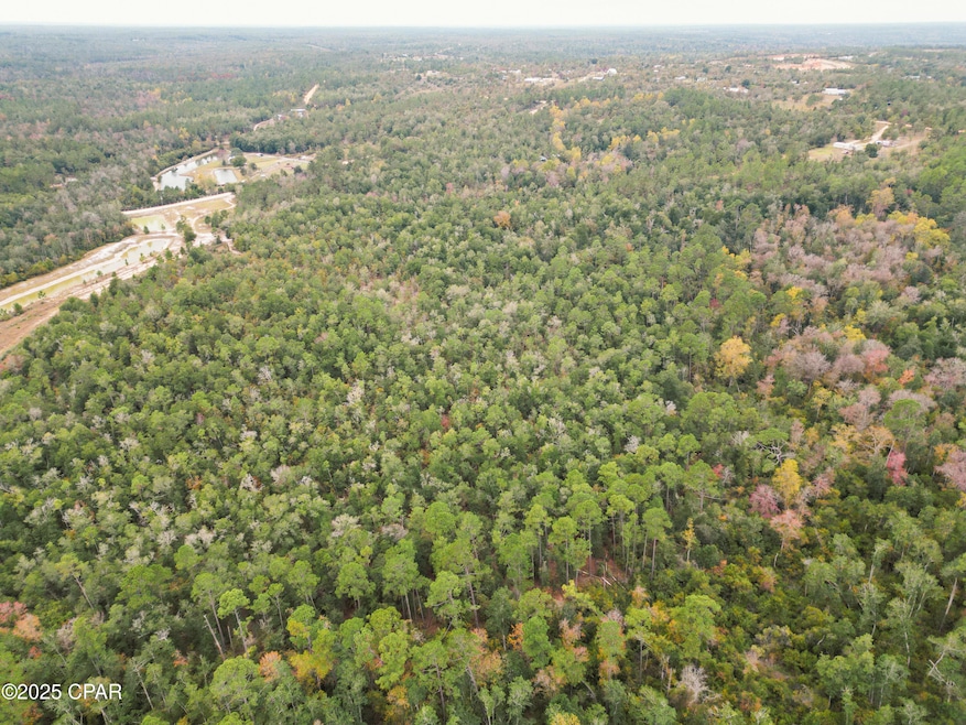 0000 Highview Cir, Chipley, FL 32428 - photo 1