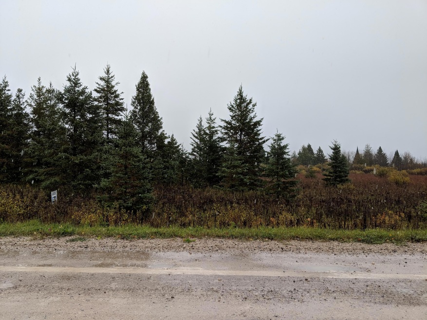 View of Land
