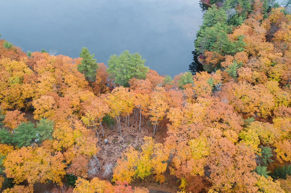 10.23.20 Land.For Screen-12