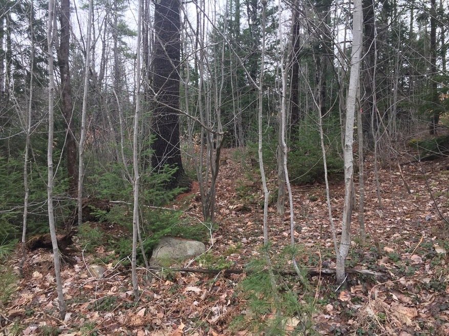 trees