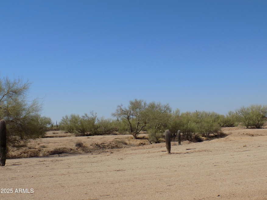 1.25 E Tbd-Cactus Forest N Reed Lot2 Rd unit 2, Florence, AZ 85132 - photo 1