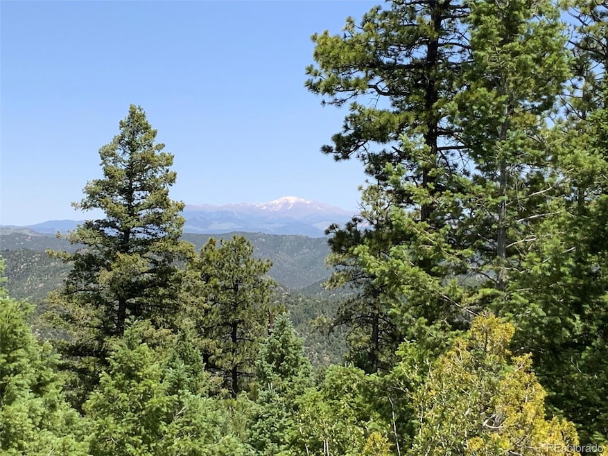 000 Peak View Ridge unit 6, Canon City, CO 81212 - photo 1