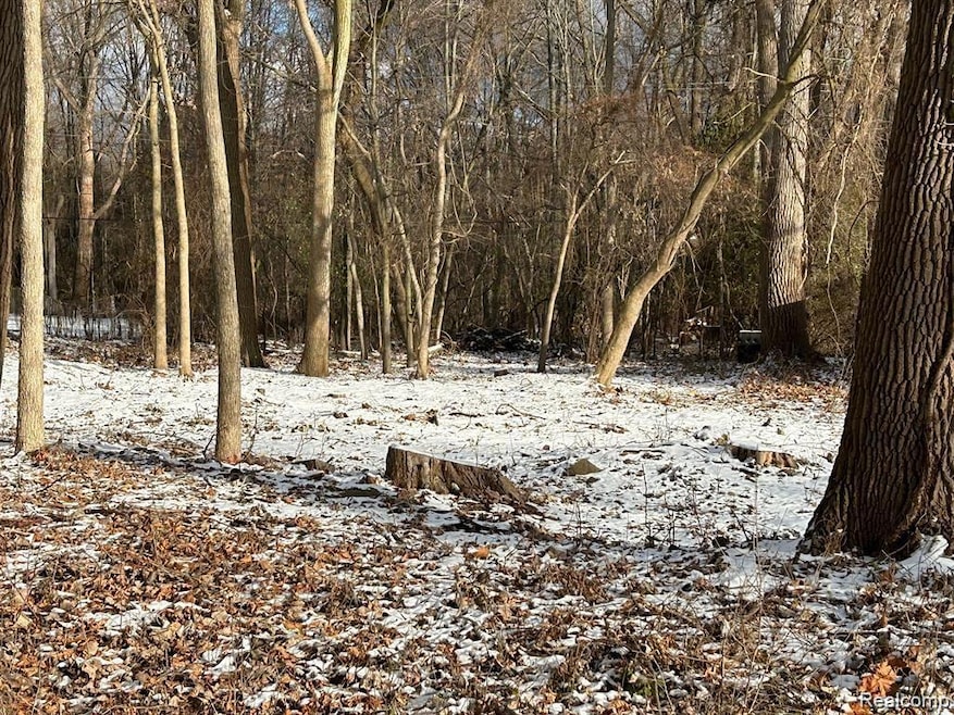 VL Leewright Ave, Southfield, MI 48033 - photo 1