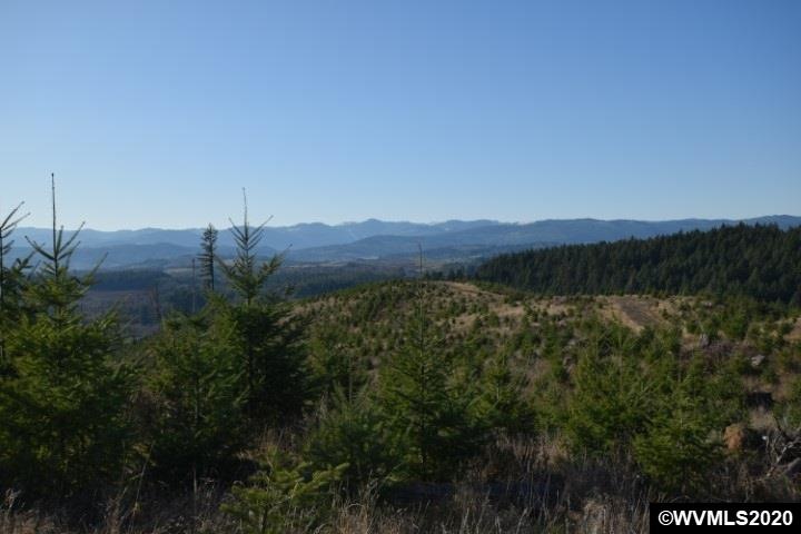 22000 Highway 47 (Block), Gaston, OR 97119 - photo 1