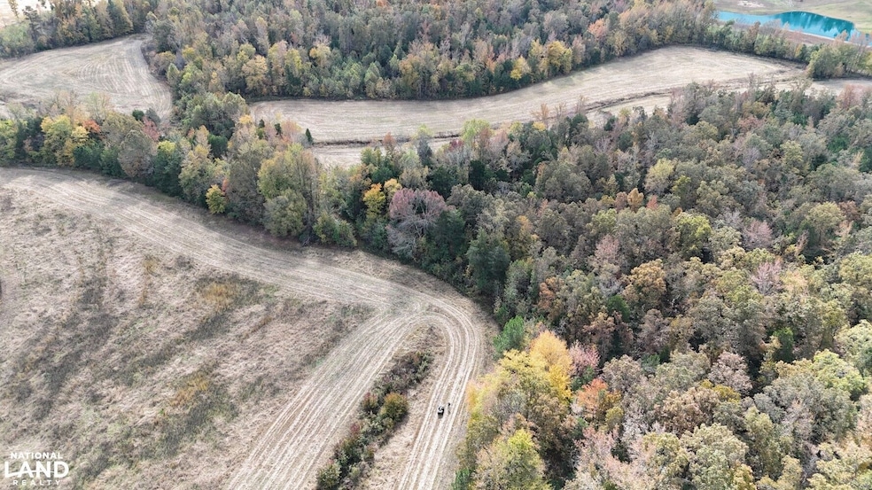 1200 Sand Ridge Rd, Lexington, TN 38351 - photo 1