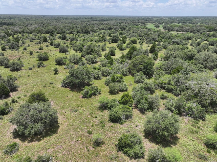 0 Terryville Church Rd unit 25511200, Yoakum, TX 77995 - photo 1