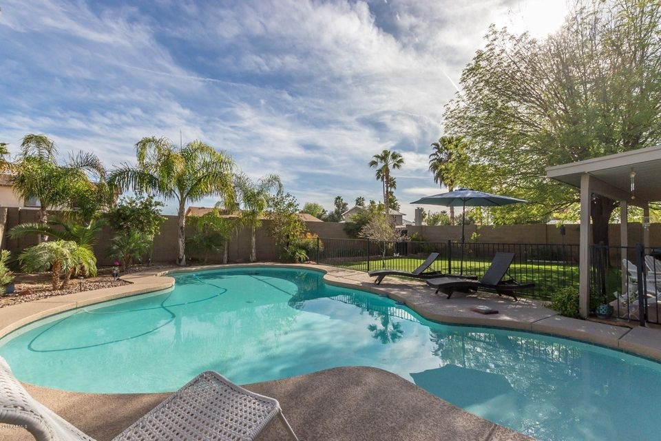 Chilton amazing backyard