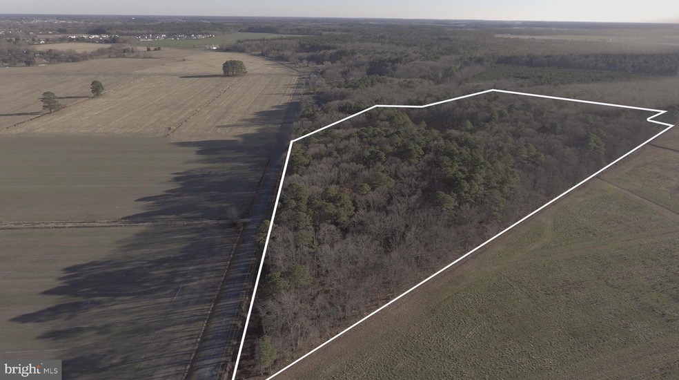 0 Horns Point Rd unit MDDO126986, Cambridge, MD 21613 - photo 1