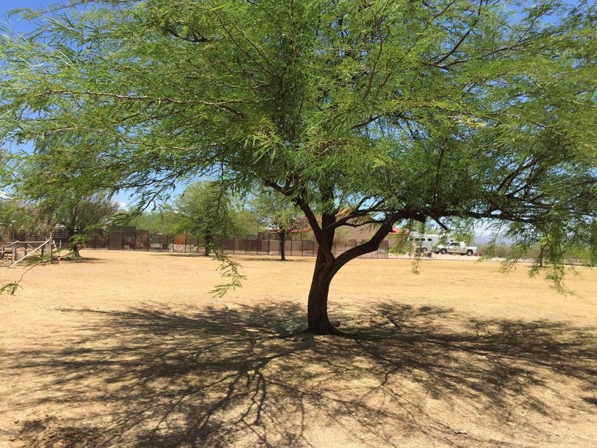 land 5