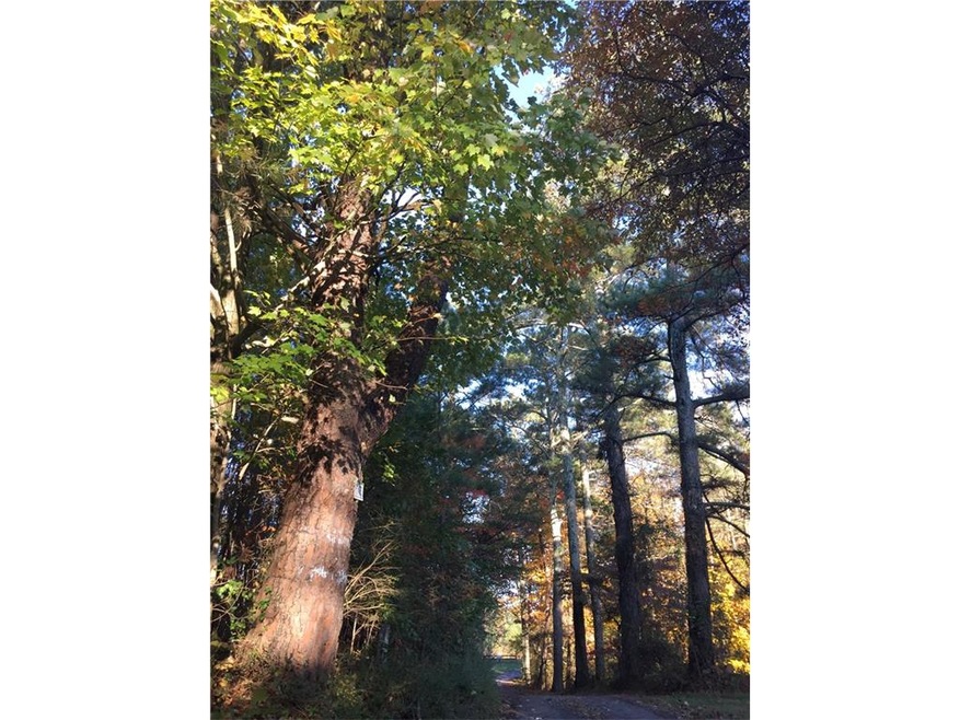 00 Hwy 5, Holly Springs, GA 30115 - photo 1