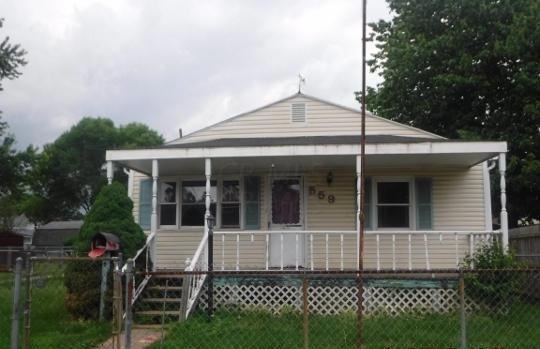 559 locust