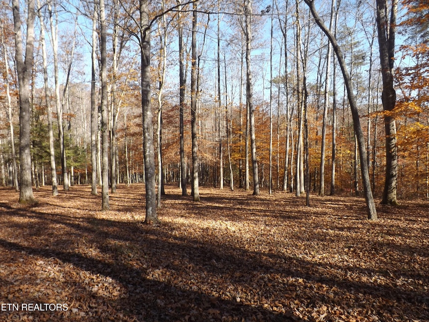 TBD Rt 516 Old Cross Rd, Pineville, KY 40977 - photo 1