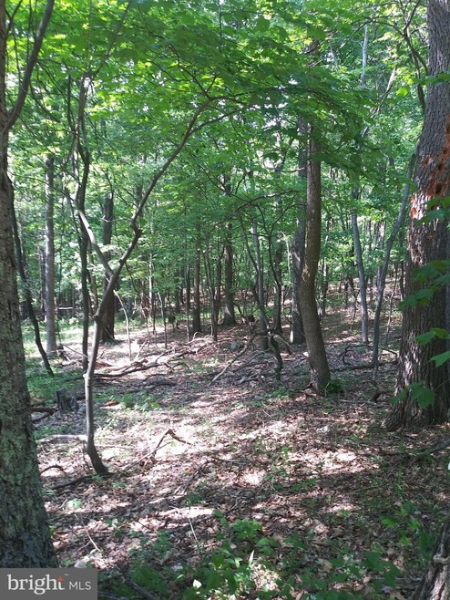 60 High Mountain View Rd, Three Chrs, WV 26757 - photo 1