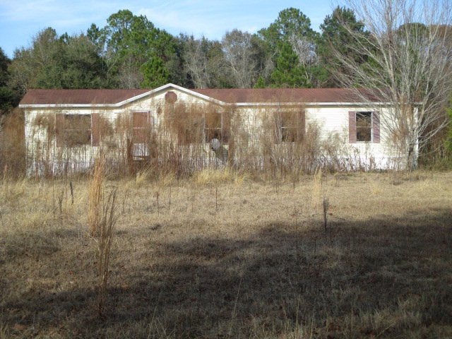 332 C O Kennedy Rd, Pavo, GA 31778 - photo 1