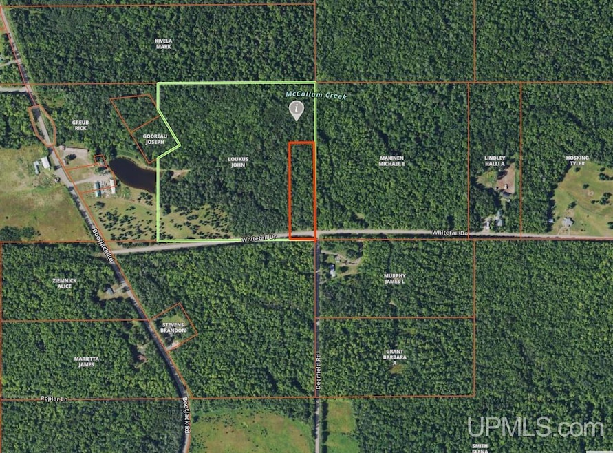 TBD Lot 1 Whitetail Dr, Torch Lake Township, MI 49945 - photo 1