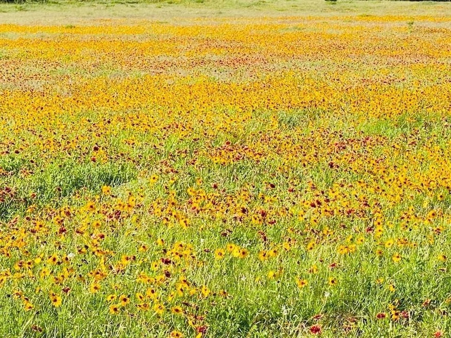 1471 Lutheran Church Rd Lot 9 Blk 1 Rd, Copperas Cove, TX 76522 - photo 1