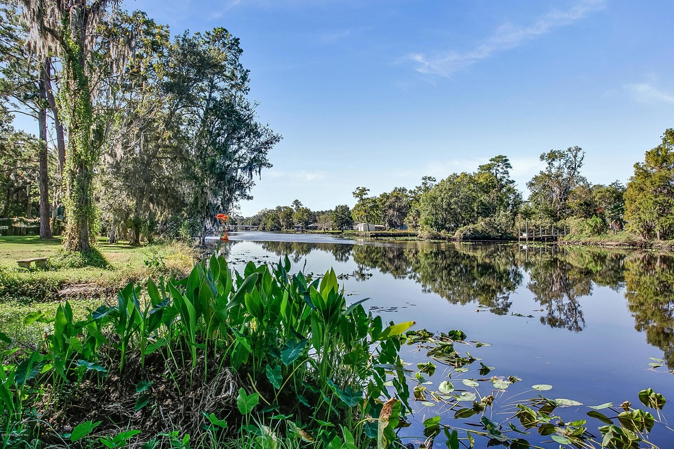 1746 Lake Shore Blvd, Jacksonville, FL 32210 - photo 1